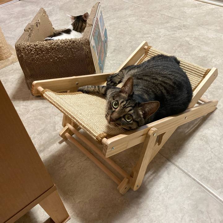 119f4301 01d4 4868 b09c 2a863a8dbb3a 1691994709491