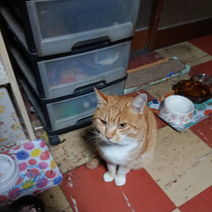 119f4d7d 37a8 4dce b299 083685fc7fab 1576873953803