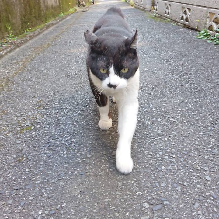 119f55ec f494 4f73 a692 4d6b3b73a054 1619930029803