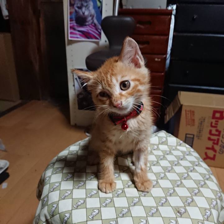 119fa29a 4317 498c 942a c1669981380b 1628022796354