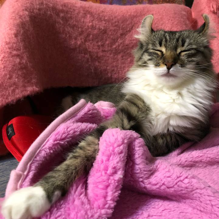 119fbbca 0023 41c2 84f2 1e410967a40c 1524581601264