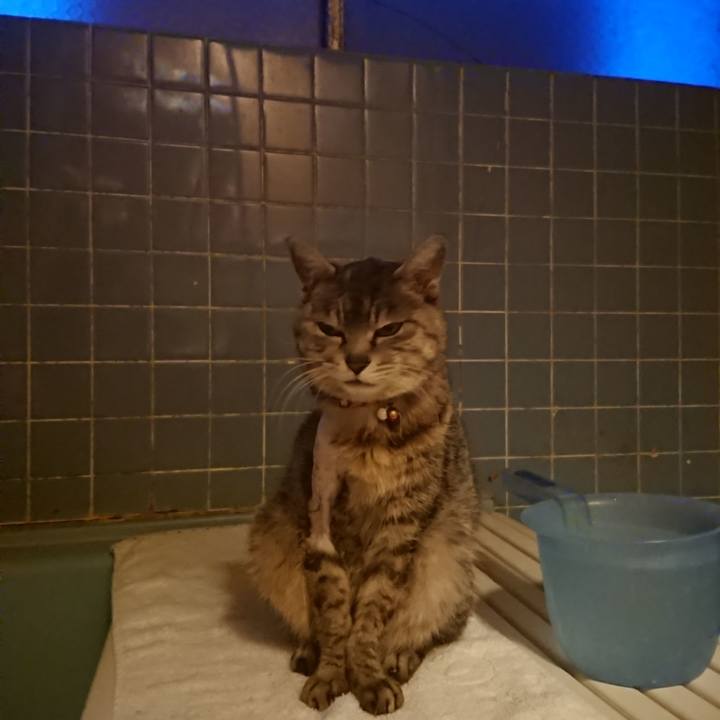 11a0116d e79f 4fd5 a5eb 1fbe52cd9bdb 1587981133284