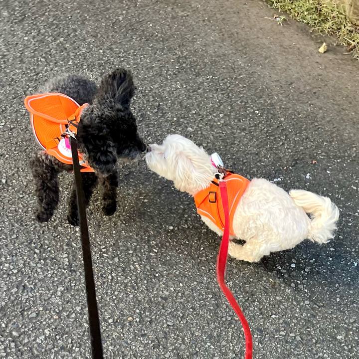 11a01502 1dd6 49bd 8706 200b2f5d1c01 1758932726174