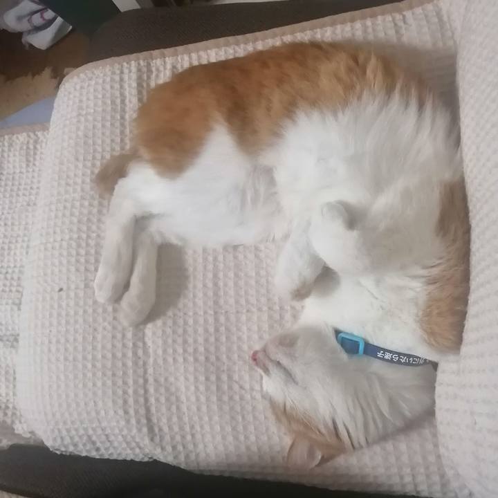 11a0594d e39e 4675 955f 36e0750842e3 1624794861810