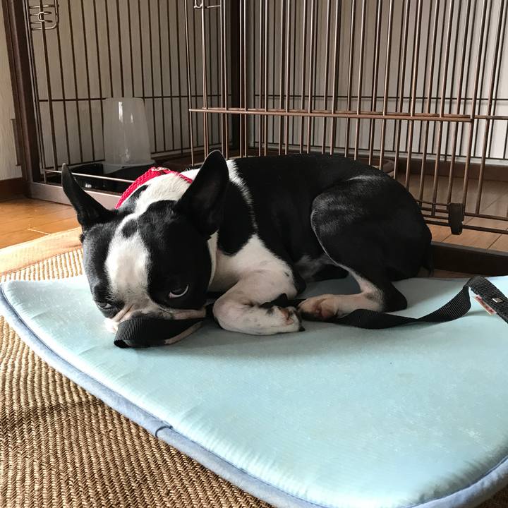 11a05ea0 0548 4d9e b077 6c966adde4ff 1510906137865