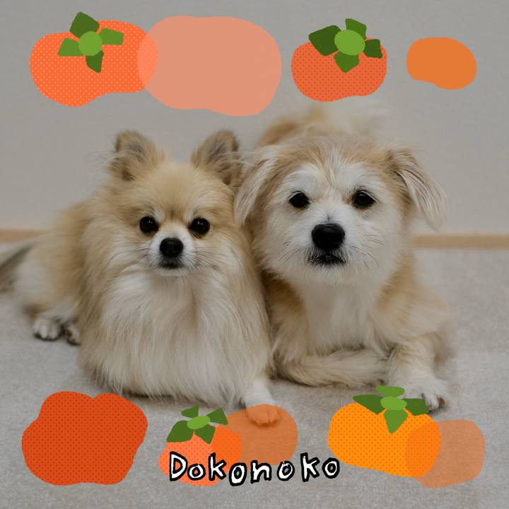 11a09696 c316 40fb 8999 2c99f5b4927a 1761344788501