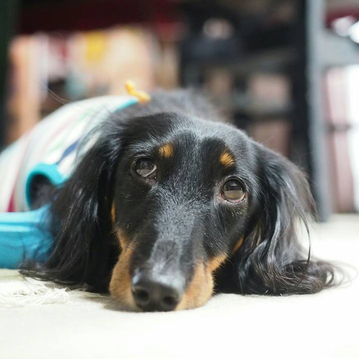 11a0a754 e77f 48ac 95d3 cd3214c57d06 1531705664163