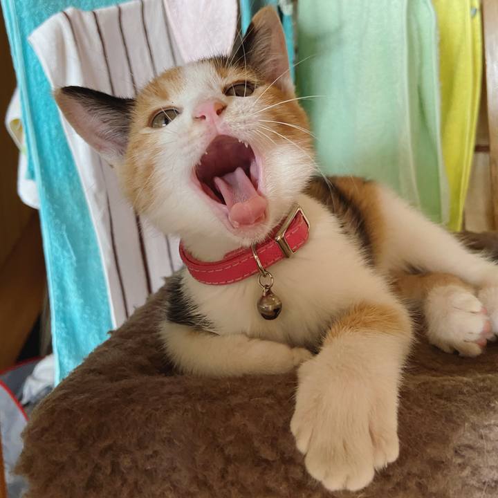 11a0de49 7470 463f 91df a5b363a8a53a 1630899444878