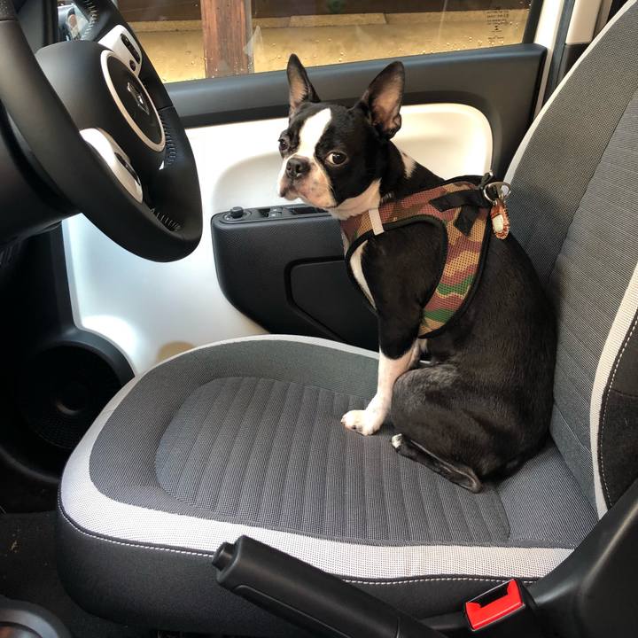 11a0feff 08f4 4cc4 b3db 83ab37c11cff 1516778778726