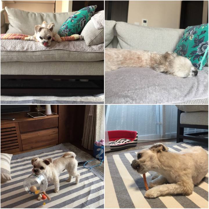 11a10fcd fc19 4fa9 8cd7 a339ec232713 1528019661286