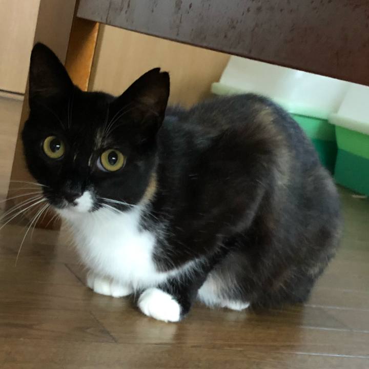 11a144a3 5f84 471b b19f 3c260cc6bb15 1561241791876