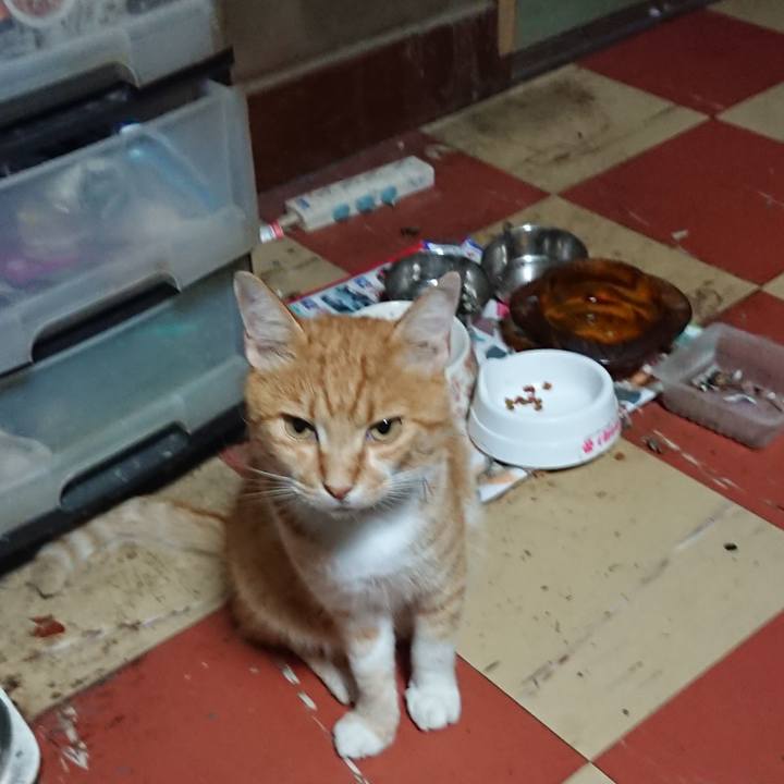 11a168bb d106 40b7 aa3e c00a28e782b2 1596314926123