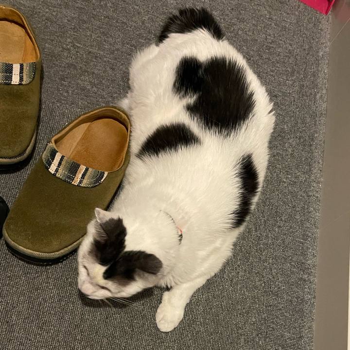 11a176de 5b8e 4960 9eb3 d65cd08370b3 1689423962707