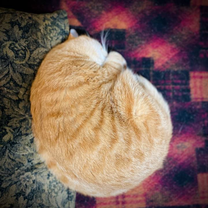 11a1e326 e442 47d1 a29c a67ce65532bc 1704809300480