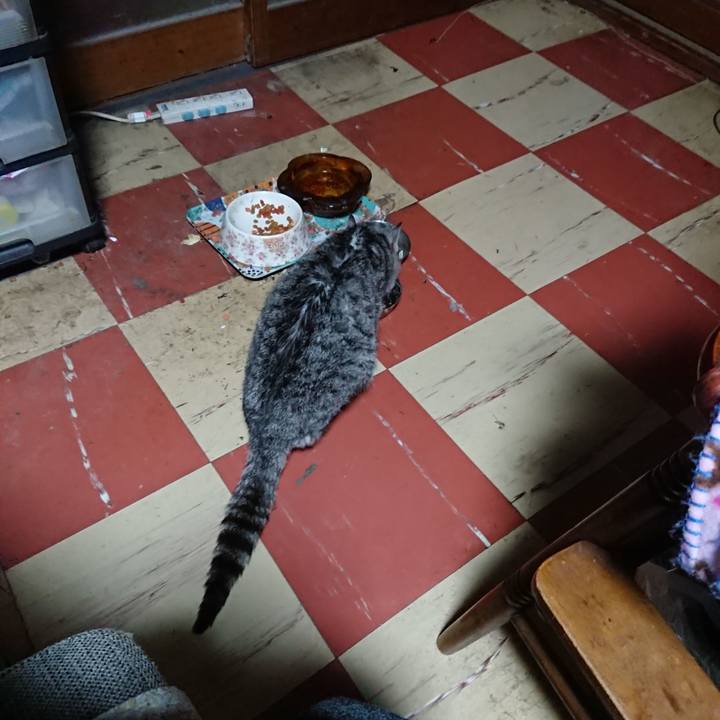 11a21476 1ef7 4b80 9820 6335ae0f3dca 1581973847534