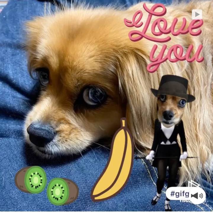 11a23a97 efe7 4532 832f 5bf61fba8b78 1589073297681