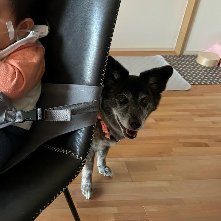 11a25d44 d27d 483a 8264 10f5bf3901e8 1718841449426