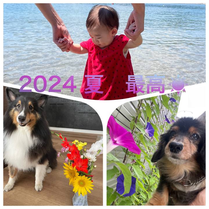 11a26bfa d54f 4f58 af45 4b5ee1d724f6 1723936052100