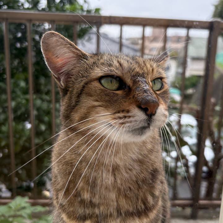 11a27033 7c00 493f 9391 d2d8eea73f63 1760949488584