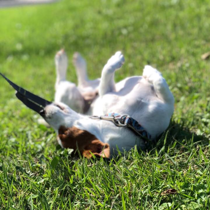 11a2af66 277e 4a75 ad48 04db9cb6dea1 1539402541721