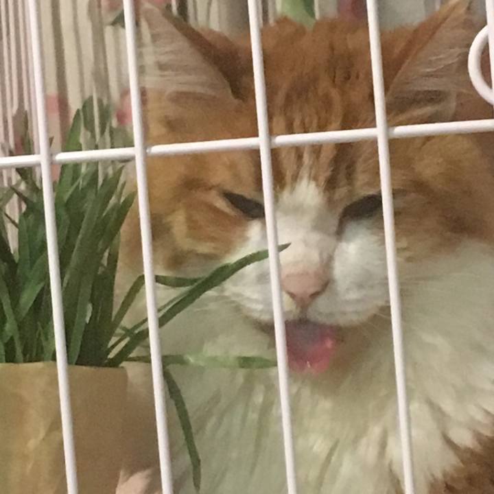 11a2bc7f 71a3 4609 83da 8417a21d1965 1568984196460