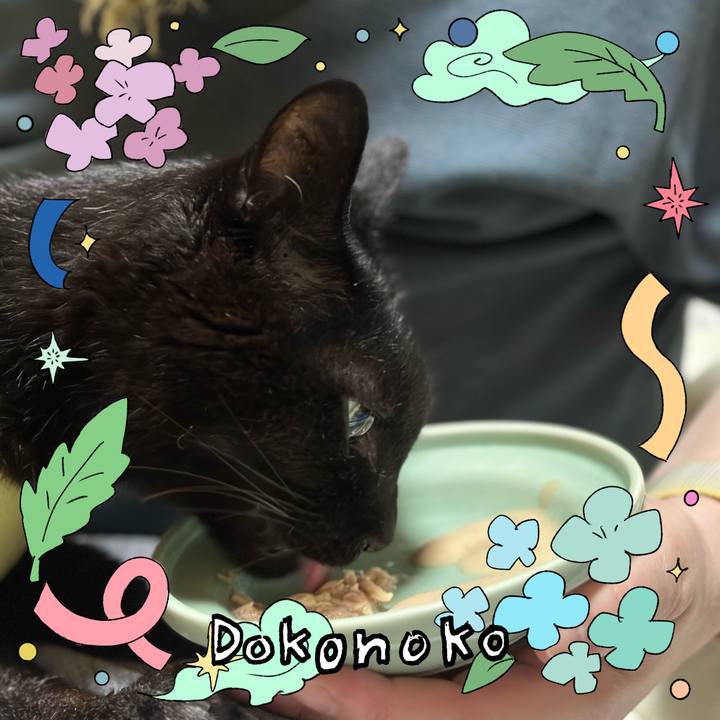 11a2edc0 48c7 46ae 9eb0 917bb5986b22 1717638720900