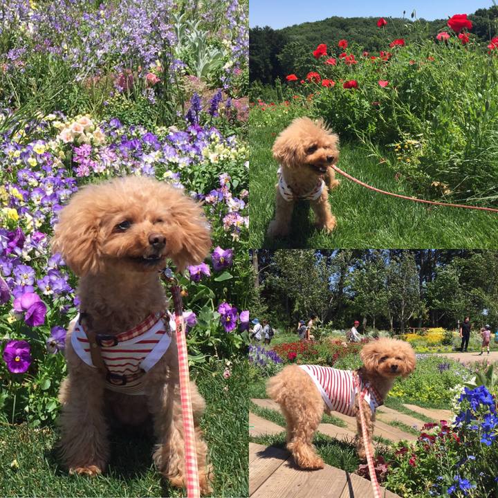 11a37291 1df3 4844 ad0e f1c88f8ef23c 1525441698822