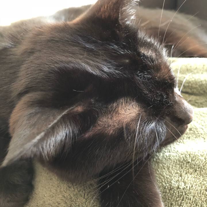 11a381f6 7705 4dd8 9333 afc9e6a3b51f 1516410866008