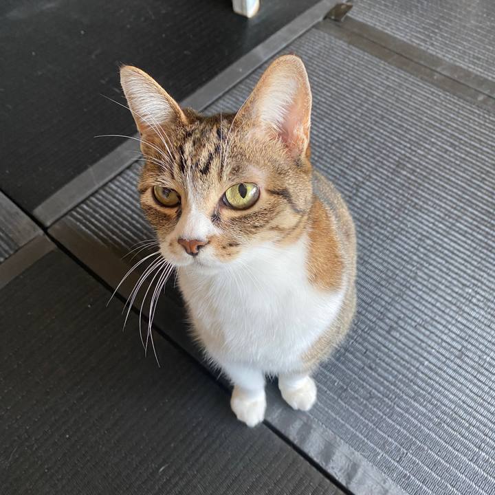 11a39cc2 9591 450c 98e6 056b1089dabd 1586301555546