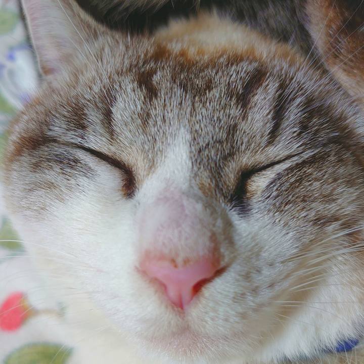 11a3d95a 9754 4163 901f a0be0203296c 1612691924921