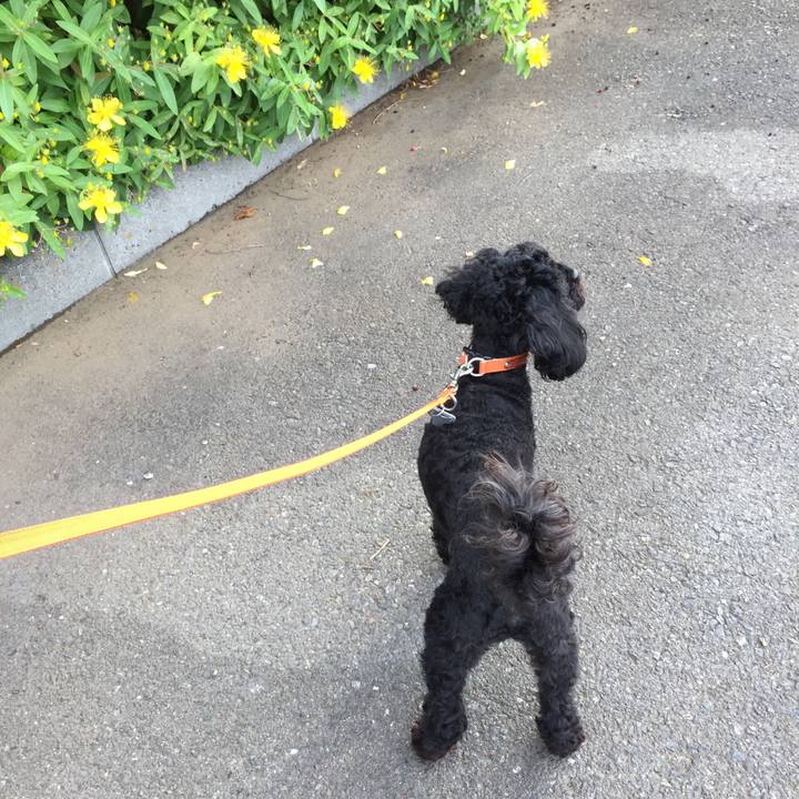 11a3fb76 59c1 4deb ac1f fc5cee95e025 1527199607630