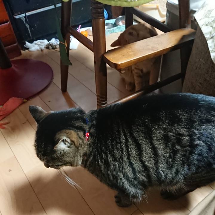 11a413a5 55b2 4d82 8146 98744539053c 1640600708019