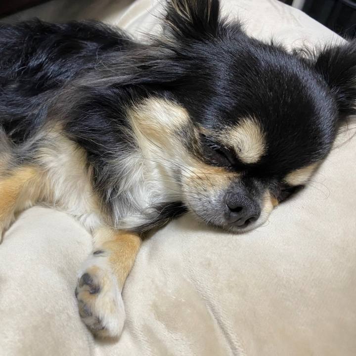 11a45774 db46 4817 8d58 1cd170527262 1661985045870