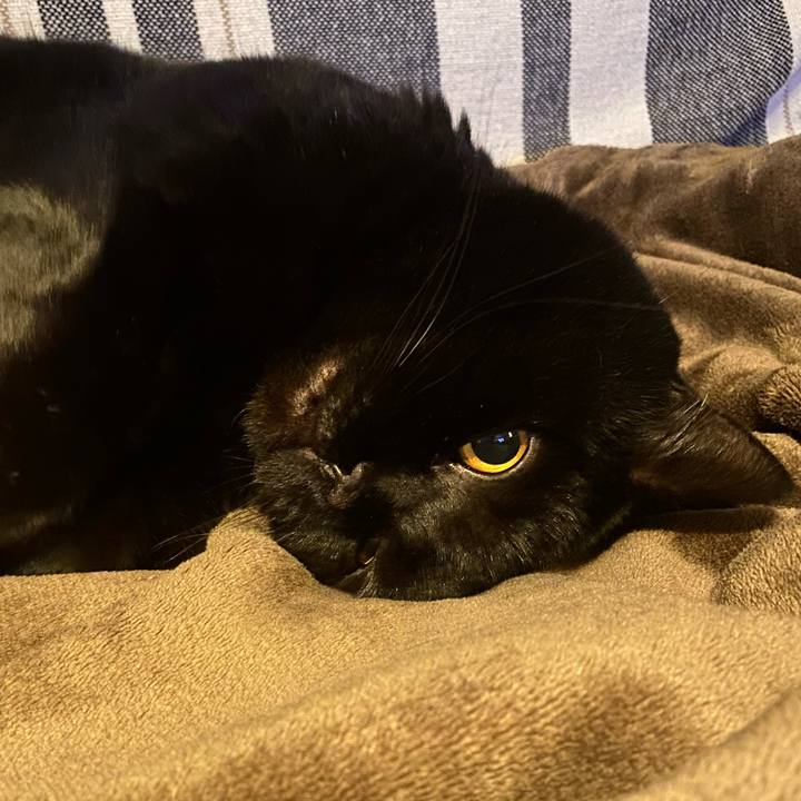 11a485b5 d518 473b 899c 1d7268f63670 1770527814042