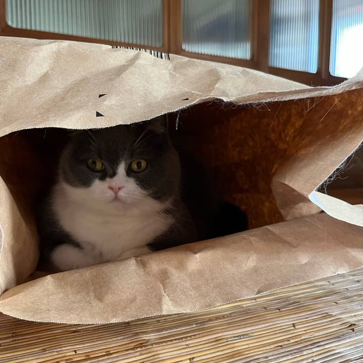 11a4d2c6 6b1f 491e b0c2 716700274440 1716089197038