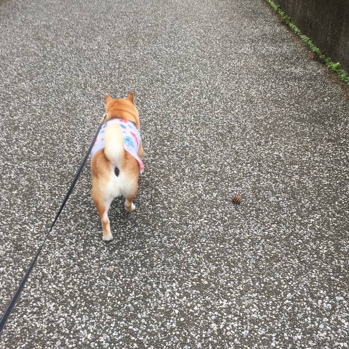 11a4f717 7651 414a ae2a 024988d08dd2 1539757626505