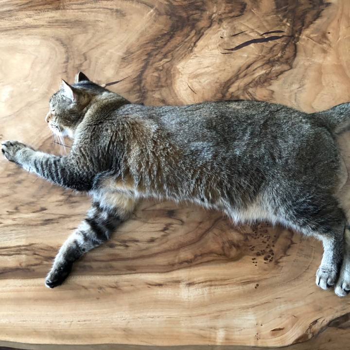 11a4fe0f 0d0c 420f 91ae fffe387fdd16 1625543370781