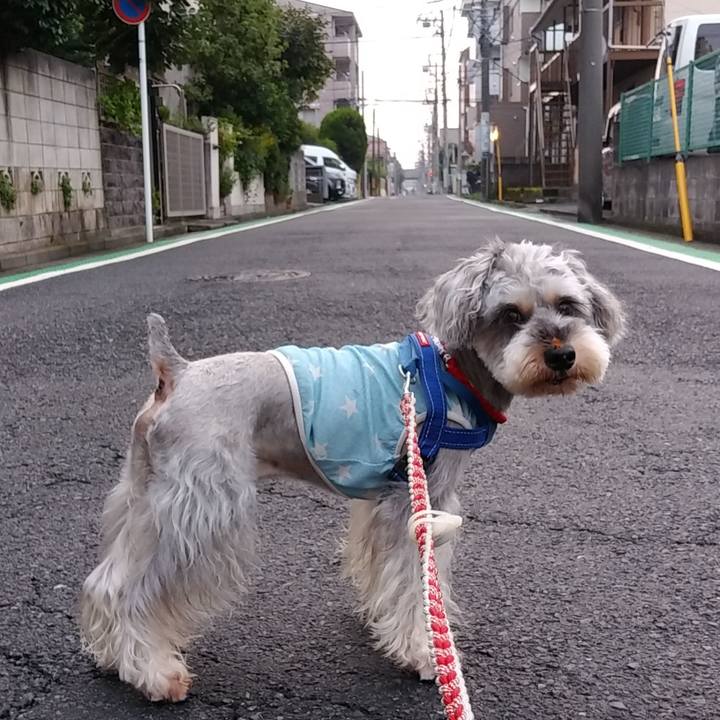 11a519ea ff8f 42dd 8d43 a693ab20c4f6 1661027641725