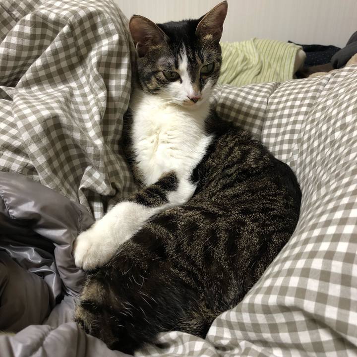 11a51ebd 2edc 4d38 8e3a a39c21e976e7 1516531204088