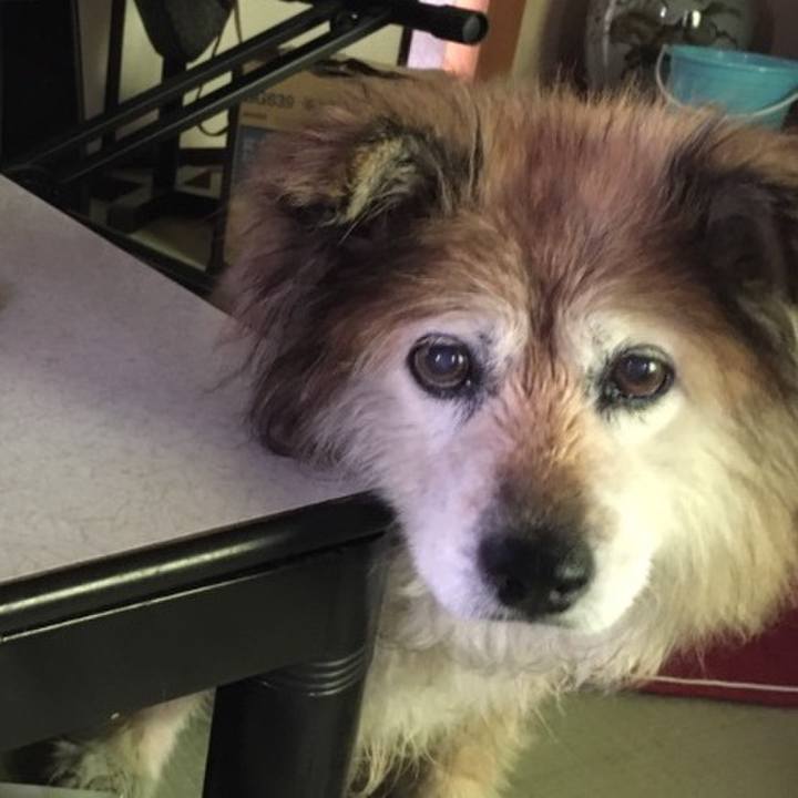 11a5486f cddd 4f2e aefa 7d5f61da143d 1612750390443