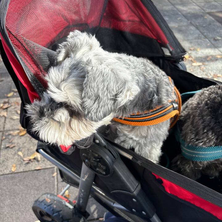 11a55bc9 5048 4045 b332 a4a73496f585 1700365784387