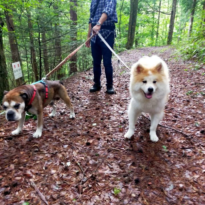 11a55f39 c917 4299 8760 acb6347ad8a9 1692320256949