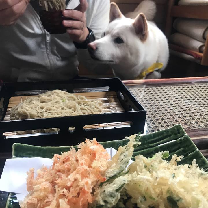 11a58282 05f7 4225 b2a9 ac06338b47d7 1521777117720