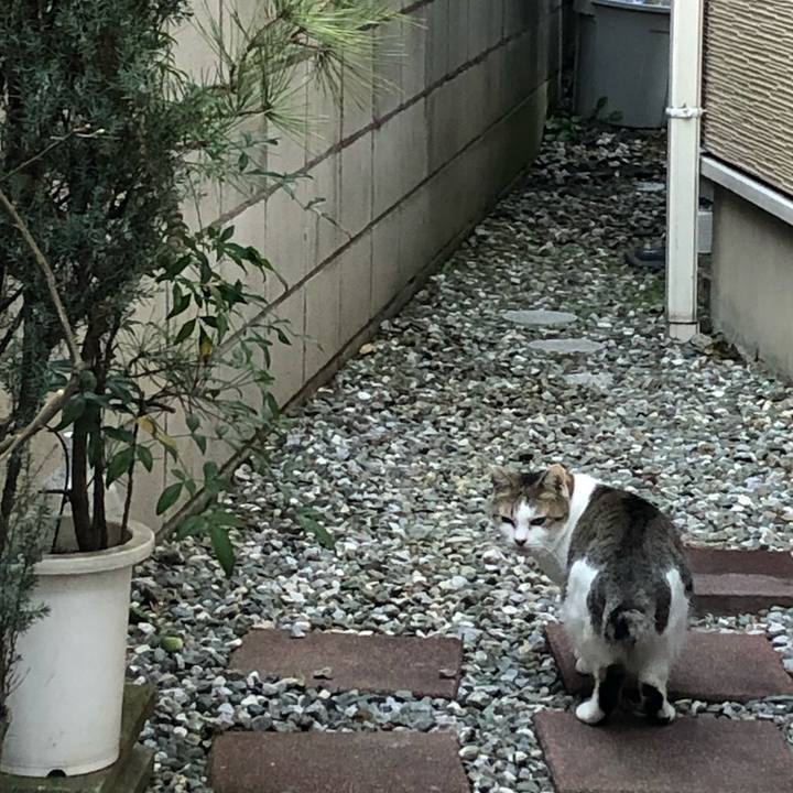 11a584c1 78a7 4378 b47f 0f5ffecd214b 1584026874984