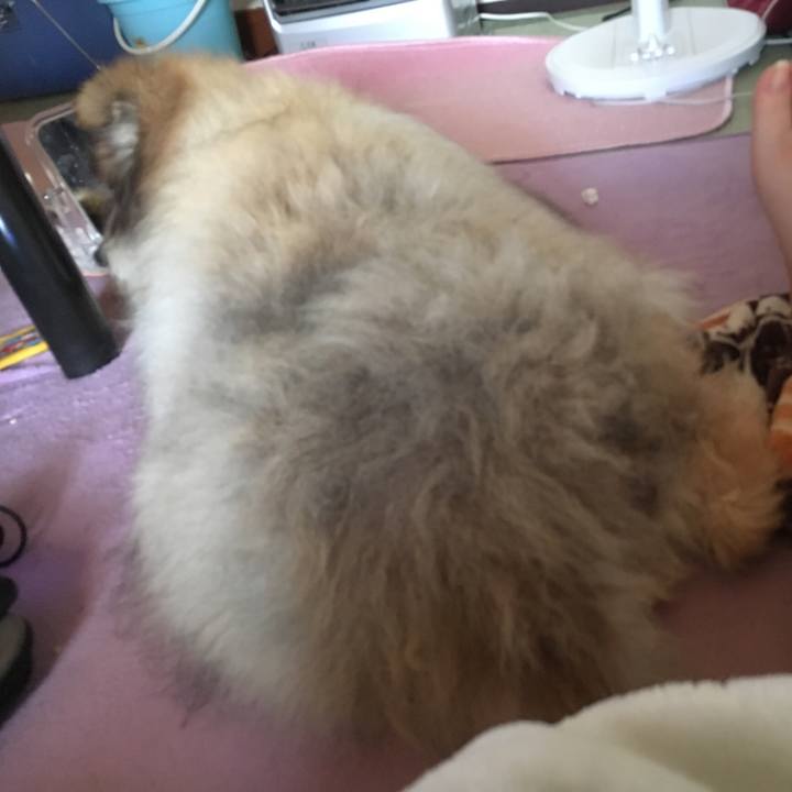 11a5c7d2 8d71 4ffa 8087 490cf4235a5d 1557213453427