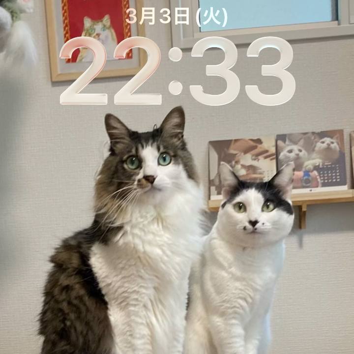 11a5e74f 0f13 4c15 bf1a f5d900973f89 1772544920444