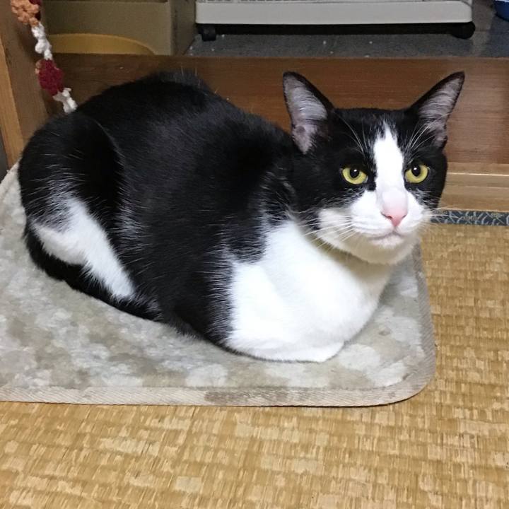 11a5ef60 4eb8 47ba 9460 491585cc8b8f 1652436506635