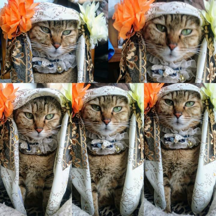 11a5f4e1 ad40 42ef 847f 6e9489afc0d4 1770334978126