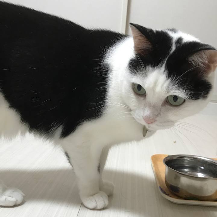 11a65f46 b907 4938 8ab1 44427925b80a 1528200126694