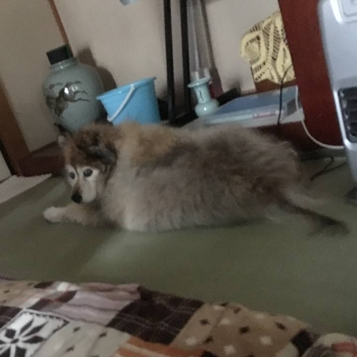 11a67fb5 d38c 4e9c b239 dc7f60e6ae4d 1613101967398